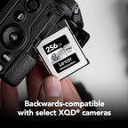 Lexar Professional CFexpress Type B Silver 256GB Lexar