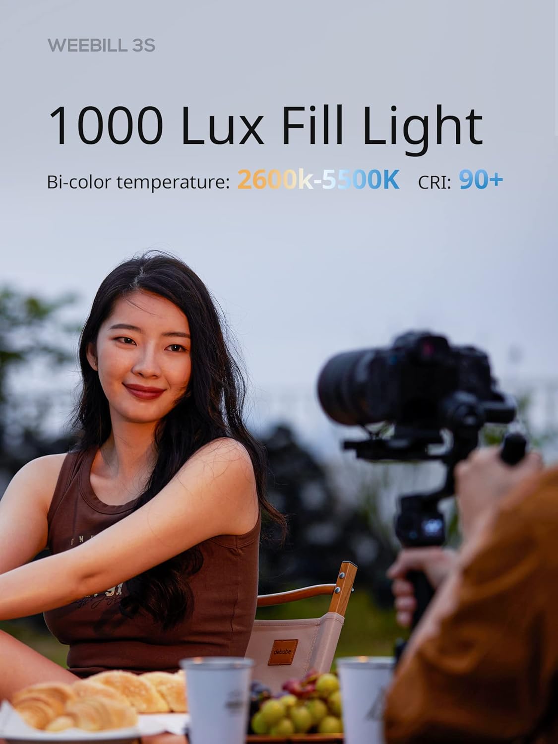 ZHIYUN Weebill 3S Camera Gimbal Stabilizer for DSLR, 3-Axis Handheld Support, Compact Design, Black