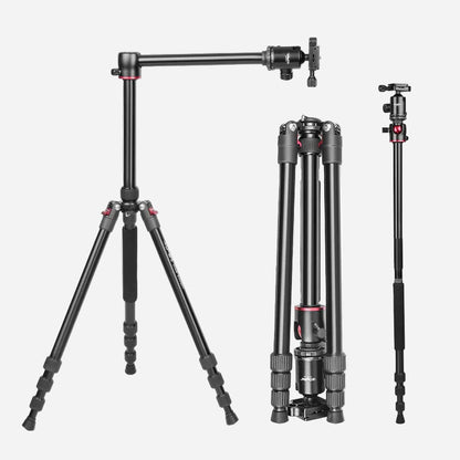 Digitek DTR 520 BH 152cm Tripod & Monopod