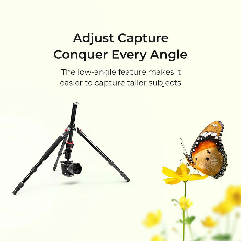 Digitek DTR 520 BH 152cm Tripod & Monopod