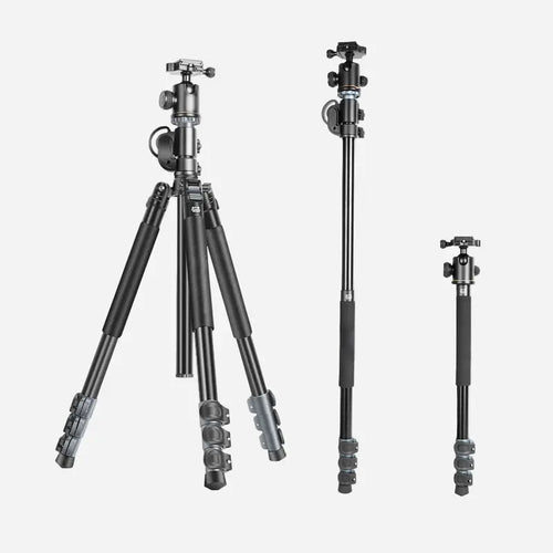 Digitek DTR 540 BH 2-in-1 Tripod & Monopod Stand Digitek