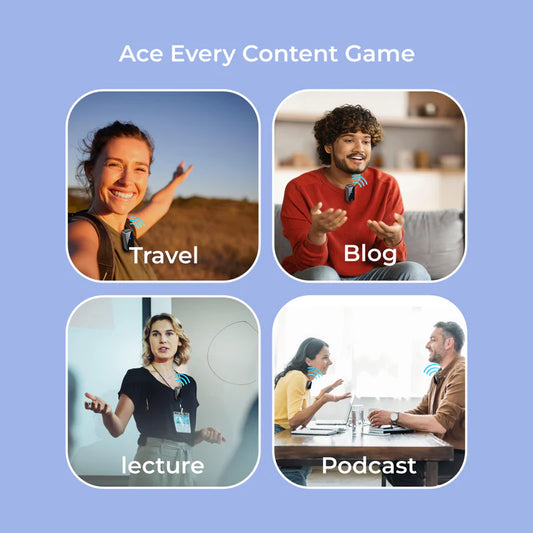 Digitek DWM-117 Wireless Microphone System