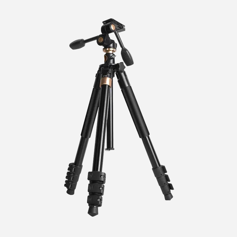 Digitek DTR 620 BH 6ft Tripod Cum Monopod