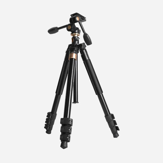Digitek DTR 620 BH 6ft Tripod Cum Monopod