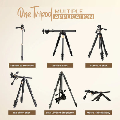 Digitek DTR 620 BH 6ft Tripod Cum Monopod