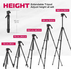 Ulanzi MT-56 Extendable Tripod with Ball Head Ulanzi